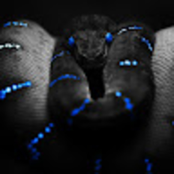 Meet your Posher, Majed - Picture 1 of 1